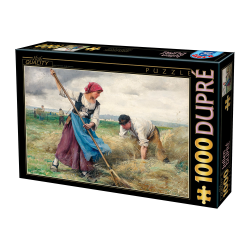 Puzzle 1000 pièces : Julien Dupré