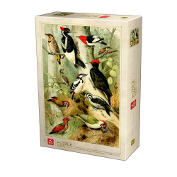miniature1 Puzzle 1000 pièces : Encyclopedia - Oiseaux