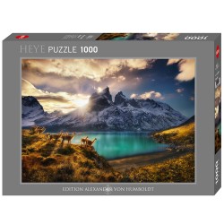 Puzzle 1000 pièces :...
