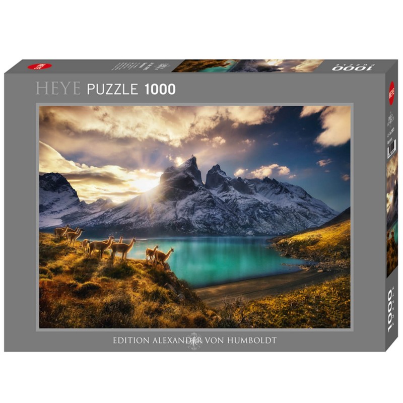 Puzzle 1000 pièces : Alexander, Guanacos