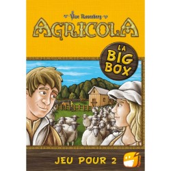 miniature1 Agricola 2 joueurs Big Box