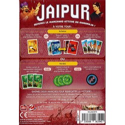 miniature4 Jaipur
