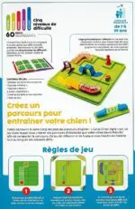 Corgi, Chien Agile Corgi, Chien Agile