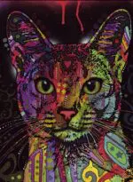 Puzzle 2000 pièces : Jolly Pets Abyssinian Puzzle 2000 pièces : Jolly Pets Abyssinian