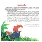 Donjons & Chatons Donjons & Chatons