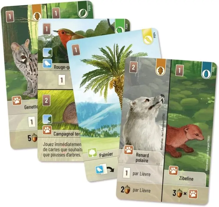 Forêt Mixte Exploration (Ext)