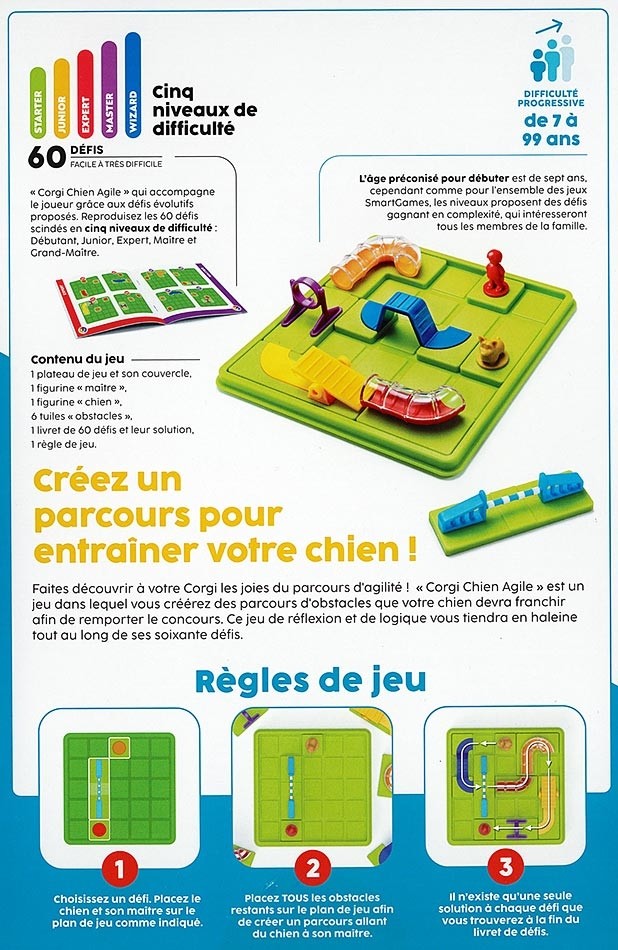 Corgi, Chien Agile Corgi, Chien Agile