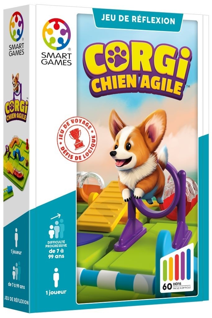 Corgi, Chien Agile Corgi, Chien Agile