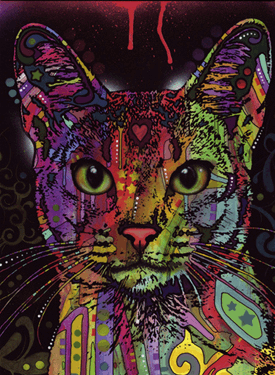 Puzzle 2000 pièces : Jolly Pets Abyssinian