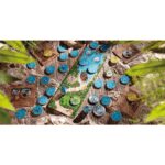 La Légende du Capitaine Barbe Blanche