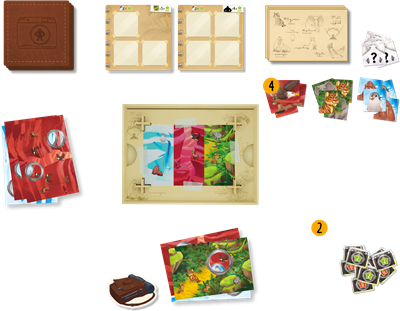 Perfect Shot Perfect Shot